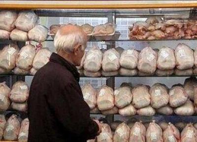بازار داغ شایعات و گرانی مرغ