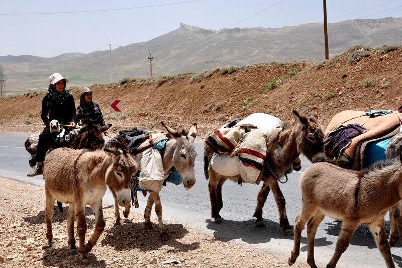 خبرنگاران مراتع میان بند استان های همجوار سمیرم میزبان خبرنگاران مراتع میان بند استان های همجوار سمیرم میزبان عشایر شدند