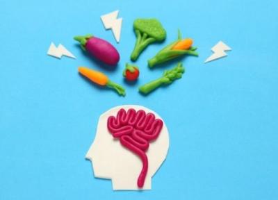 10 ماده غذایی عالی برای تقویت مغز و حافظه